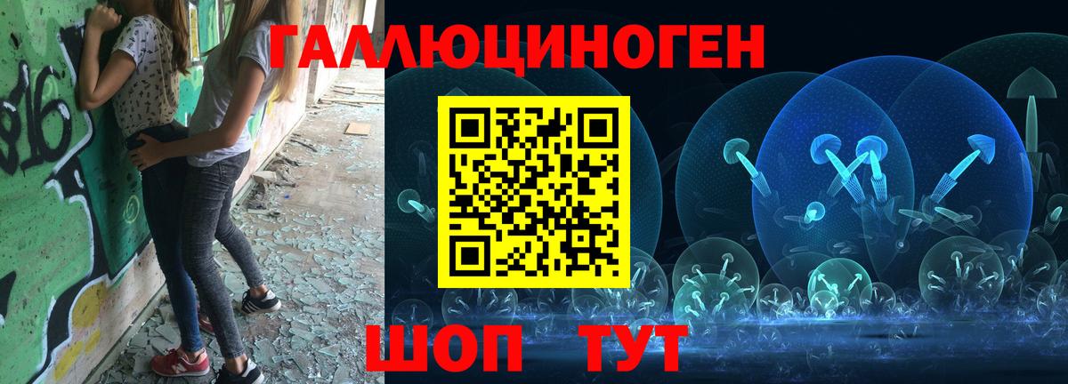Гудермес  Псилоцибиновые грибы Psilocybe  Вход с VPN  Галлюциногенные грибы MAGIC MUSHROOMS 